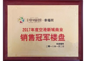 鼎鑫幸福城荣获2017年度空港新城商业销售冠军楼盘