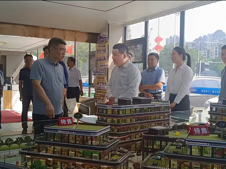 河南通许县领导一行莅临【鼎鑫・幸福滙】考察
